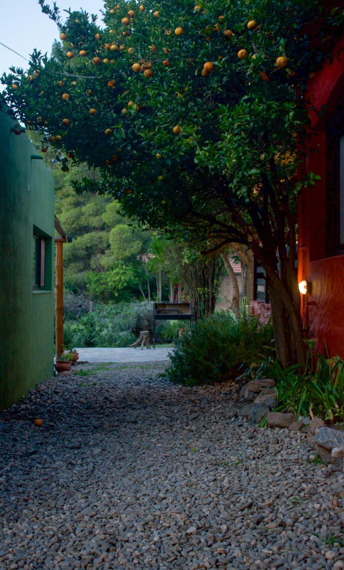 Loma Linda Hostal Y Posada Serrana Эль-Ринкон Экстерьер фото